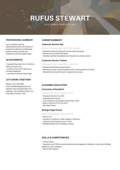 CV with a brown image as a header