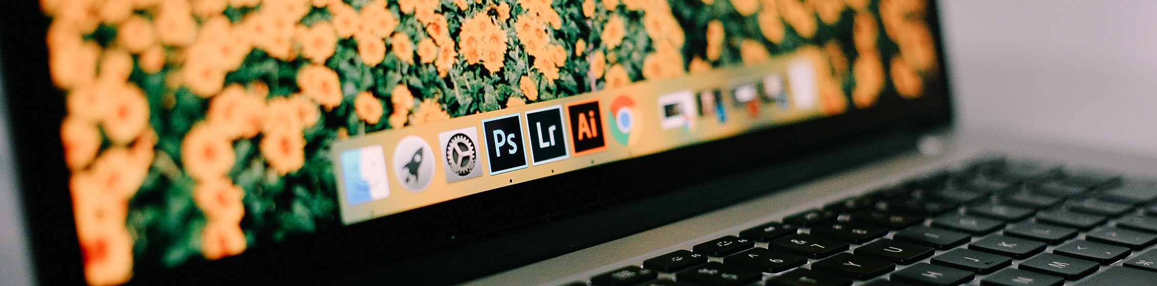 8 Ways To Use Adobe Illustrator To Improve Your Blog
