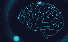 Why AI will not take your job article image